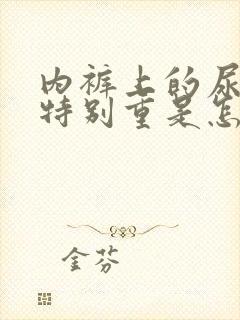 内裤上的尿骚味特别重是怎么回事封面