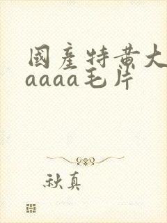 国产特黄大片aaaaa毛片