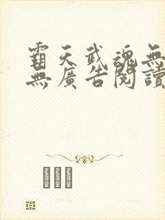 霸天武魂无弹窗无广告阅读封面