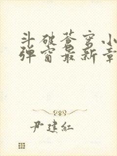 斗破苍穹小说无弹窗最新章节封面