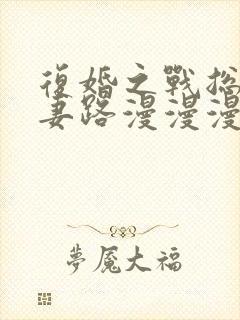 复婚之战总裁追妻路漫漫漫画免费下拉式