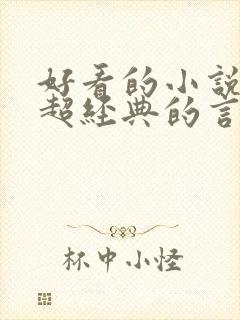 好看的小说推荐超经典的言情