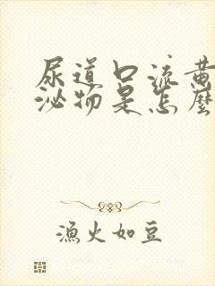 尿道口流黄色分泌物是怎么回事封面