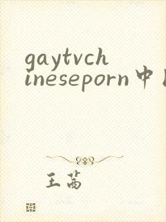 gaytvchineseporn中国帅哥gay