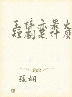 王梓亦最火十部短剧是什么