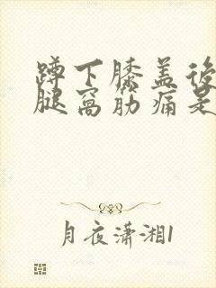 蹲下膝盖后面的腿窝筋痛是什么原因