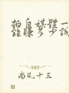 拍自媒体一个月能赚多少钱