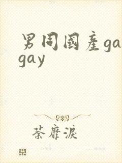 男同国产gaygay