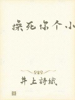 操死你个小贱货封面