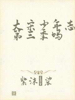 大宋少年志会有第三季吗封面