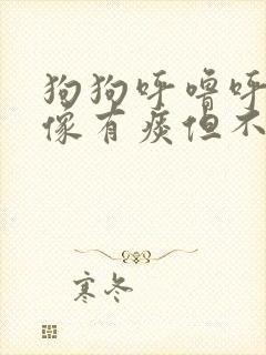 狗狗呼噜呼噜好像有痰但不咳封面