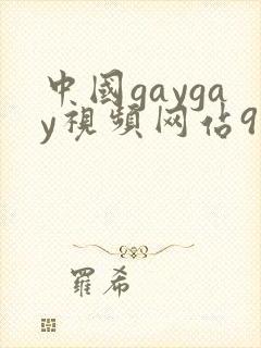 中国gaygay视频网站9191