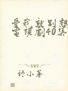 爱我就别想太多电视剧40集免费封面