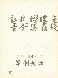 许我耀眼免费观看全集在线播放高清