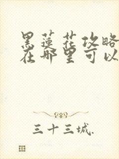 黑莲花攻略手册在哪里可以看