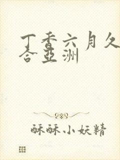 丁香六月久久综合亚洲