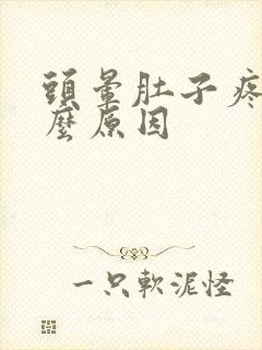 头晕肚子疼是什么原因