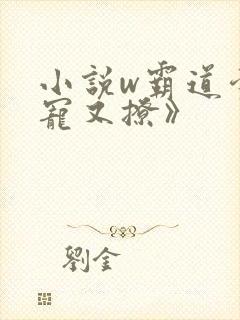 小说w霸道爹地宠又撩》