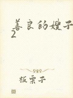 善良的嫂子韩剧2