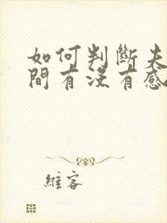 如何判断夫妻之间有没有感情