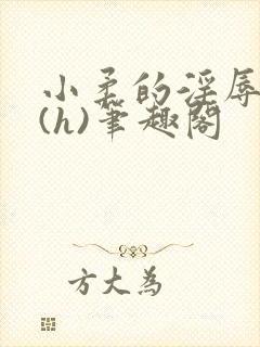 小柔的淫辱日记(h)笔趣阁封面