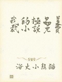 我的极品美女总裁小说免费全集