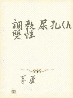 调教尿孔(h)双性