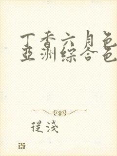 丁香六月色婷婷亚洲综合色封面