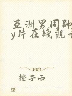 亚洲男同帅gay片在线观看封面