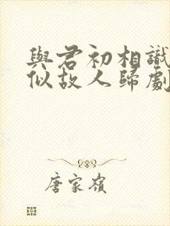 与君初相识·恰似故人归剧情