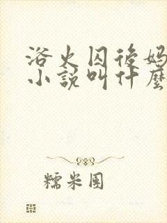 浴火囚后妈原著小说叫什么名字