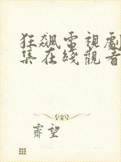 狂飙电视剧40集在线观看免