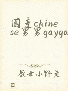 国产chinese男男gaygay免费网站封面