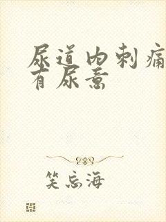 尿道内刺痛一直有尿意