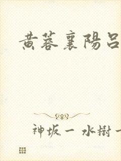 黄蓉襄阳吕封面