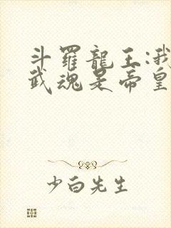 斗罗龙王:我的武魂是帝皇铠甲免费阅读