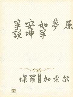 宁安如梦原著小说坤宁