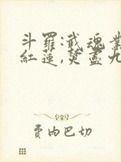 斗罗:武魂业火红莲,焚尽九天