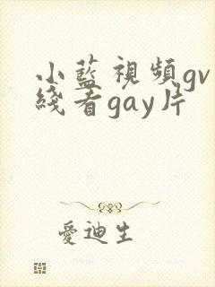 小蓝视频gv在线看gay片