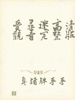 爱寻迷高清在线观看完整版