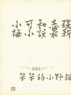 小可和志强和阿梅小说最新章节