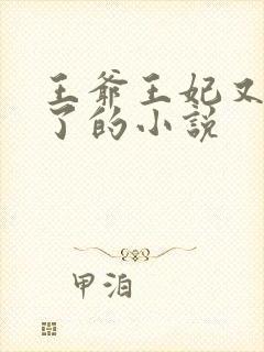 王爷王妃又穷疯了的小说