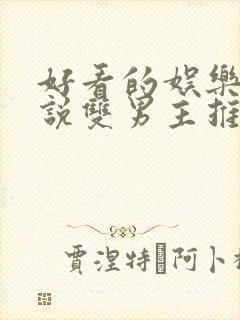 好看的娱乐圈小说双男主推荐