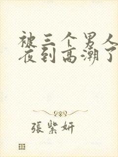 被三个男人躁一夜到高潮了