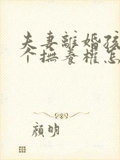 夫妻离婚孩子两个抚养权怎么判定