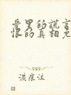 爱里的谎言,仇恨的真相免费观看封面