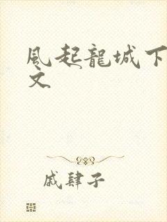 风起龙城下载全文封面