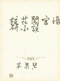 校花闯官场林慧研小说