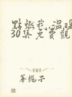 点燃我,温暖你30集免费观看
