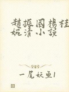 赵振国杨桂芳宋婉清小说封面